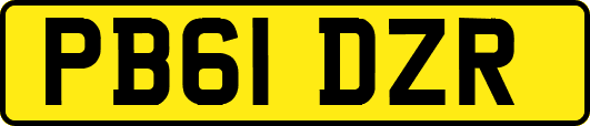 PB61DZR