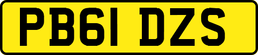 PB61DZS