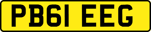 PB61EEG