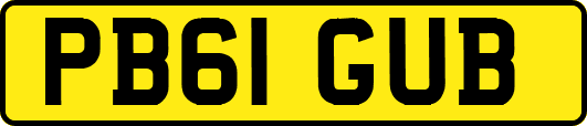 PB61GUB