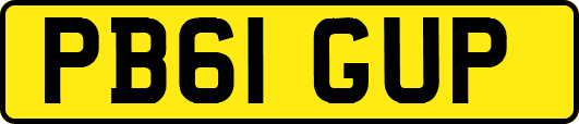PB61GUP