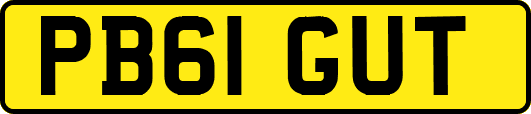 PB61GUT