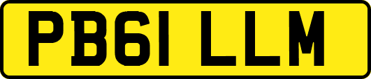 PB61LLM