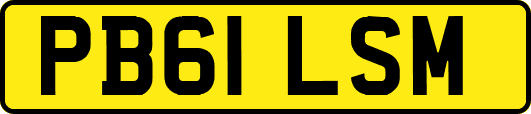 PB61LSM