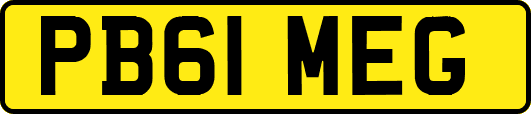 PB61MEG
