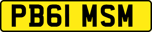 PB61MSM
