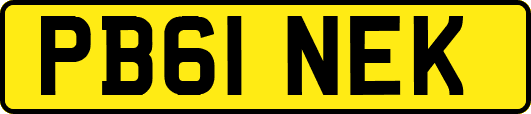 PB61NEK