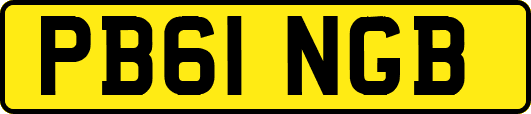 PB61NGB