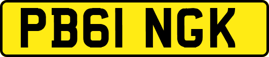 PB61NGK