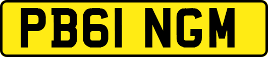PB61NGM