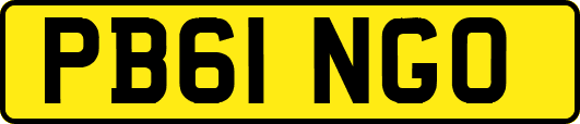 PB61NGO