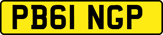 PB61NGP