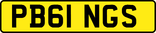 PB61NGS