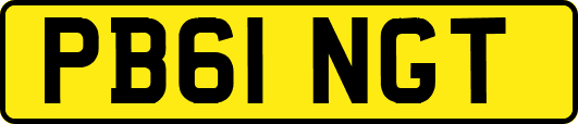 PB61NGT