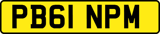 PB61NPM