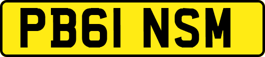 PB61NSM