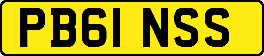 PB61NSS