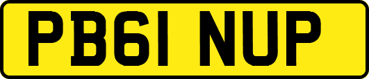 PB61NUP
