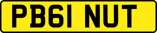 PB61NUT