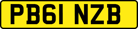 PB61NZB