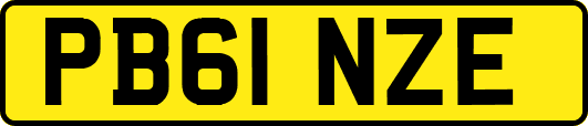 PB61NZE