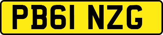 PB61NZG