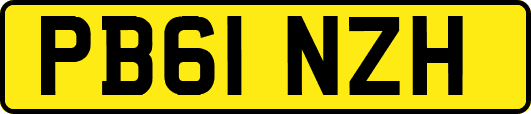 PB61NZH