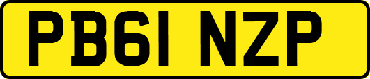 PB61NZP