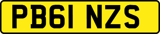 PB61NZS