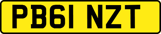 PB61NZT