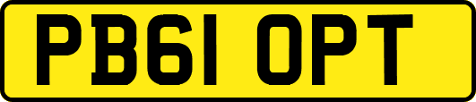 PB61OPT