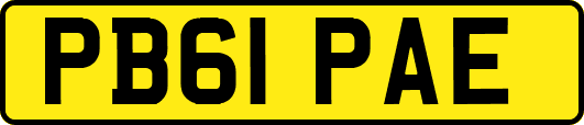 PB61PAE