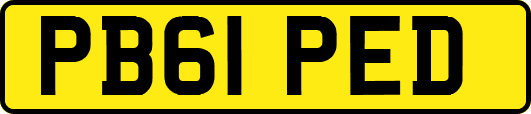 PB61PED