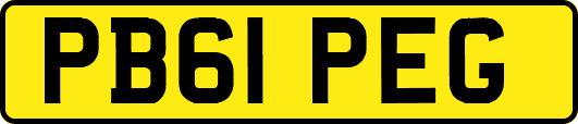 PB61PEG