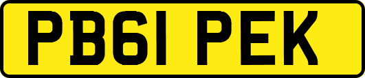 PB61PEK