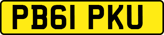 PB61PKU