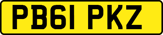 PB61PKZ