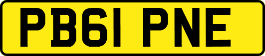 PB61PNE
