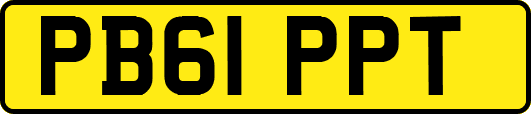 PB61PPT
