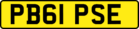 PB61PSE