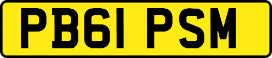 PB61PSM
