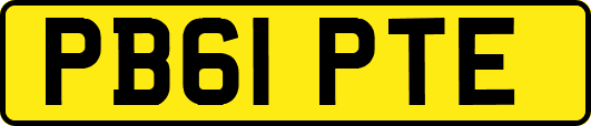 PB61PTE