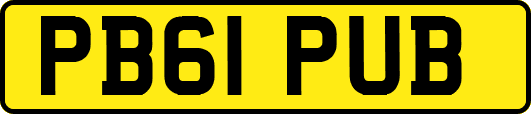 PB61PUB