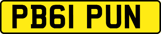PB61PUN