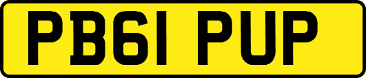 PB61PUP