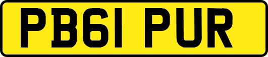 PB61PUR