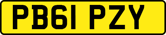 PB61PZY