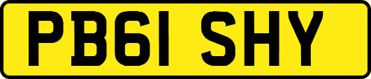 PB61SHY