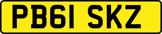 PB61SKZ