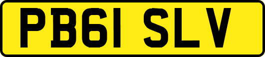 PB61SLV